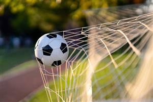 Soccer Ball in Goal